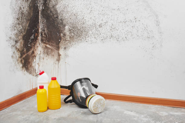Best Residential Mold Remediation in Como, WI