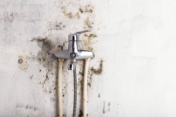 Best Preventive Mold Services in Como, WI