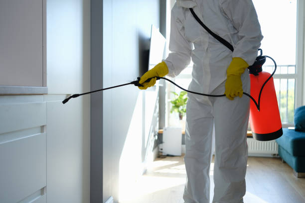 Best Post-Flood Mold Remediation in Como, WI