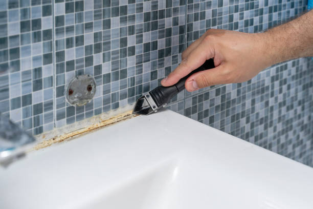 Best Basement Mold Remediation in Como, WI