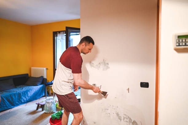 Best Health and Safety Mold Remediation in Como, WI