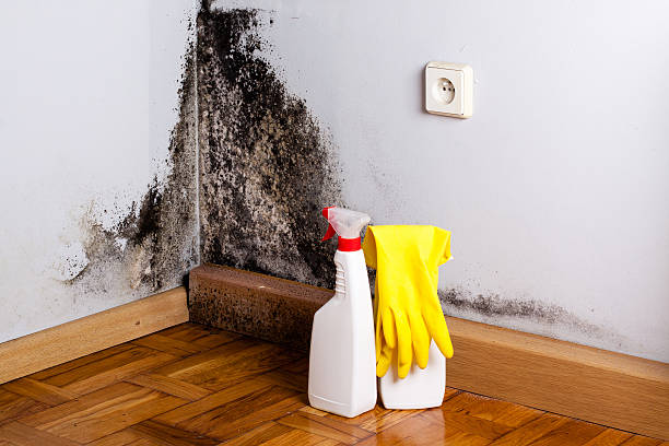 Best HVAC Mold Remediation in Como, WI